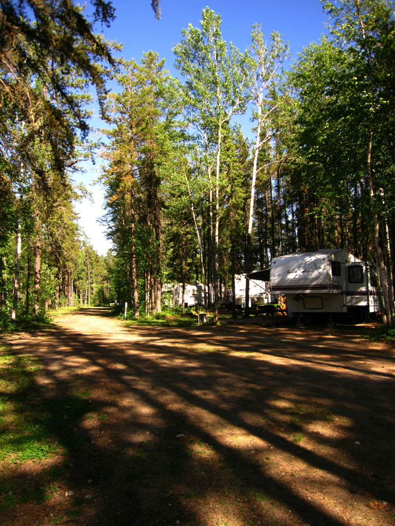 Fully serviced pull through campsites are level and easy to drive in and out of.